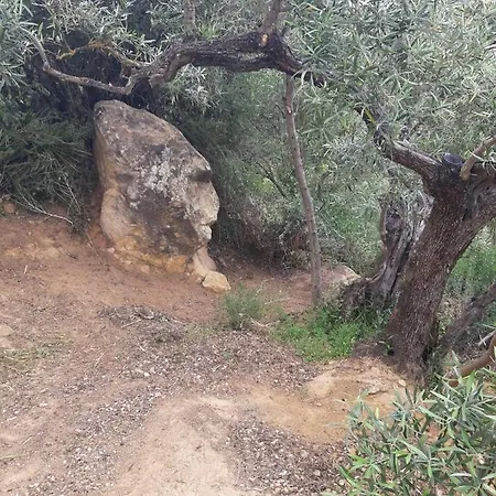 אכסניה Casa Rio Y Luz אלגודונאלס